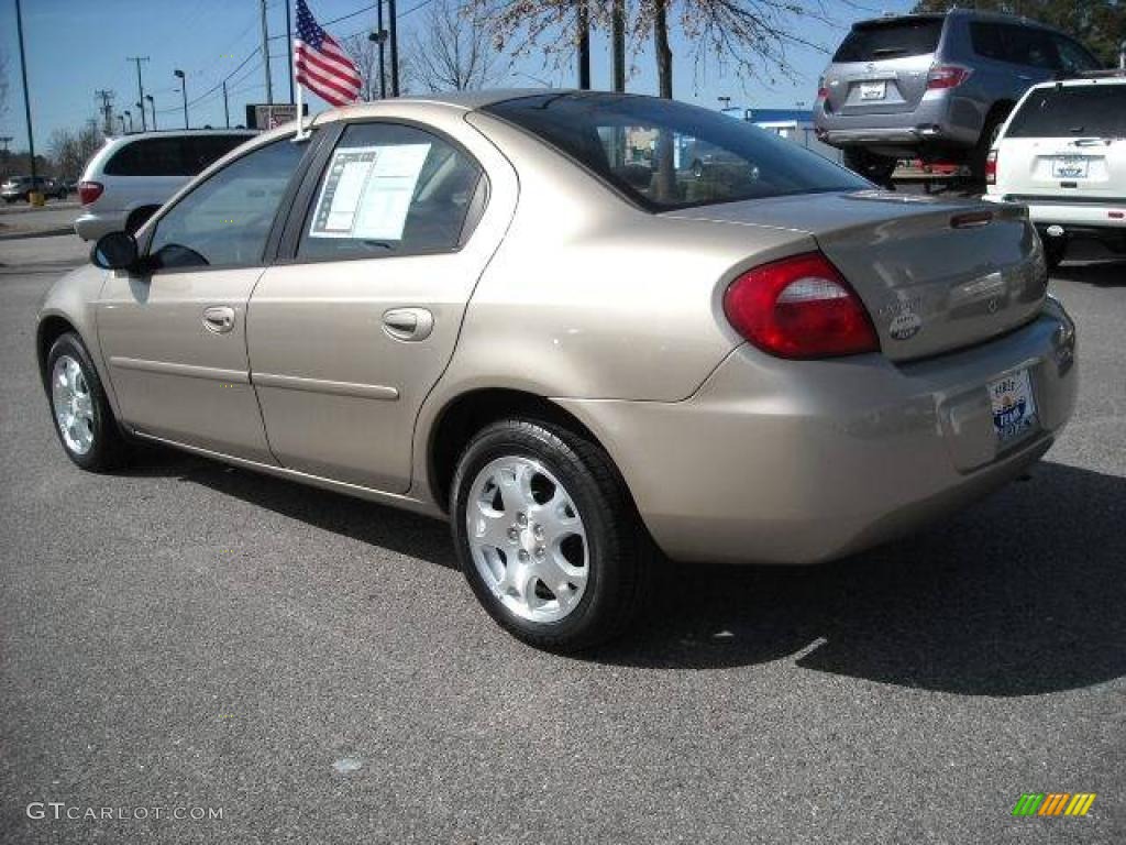 2003 Neon SXT - Light Almond Pearl Metallic / Dark Slate Gray photo #4