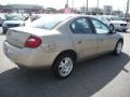 2003 Light Almond Pearl Metallic Dodge Neon SXT  photo #6