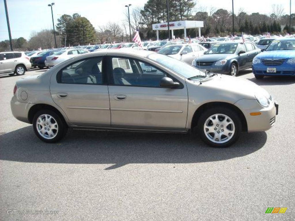 2003 Neon SXT - Light Almond Pearl Metallic / Dark Slate Gray photo #7