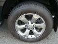 2009 Toyota 4Runner Limited 4x4 Wheel and Tire Photo