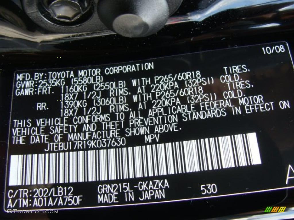 2009 4Runner Color Code 202 for Black Photo #46703433