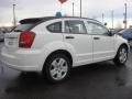 Stone White - Caliber SXT Photo No. 5