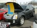 Black Raven - SRX V6 Photo No. 1