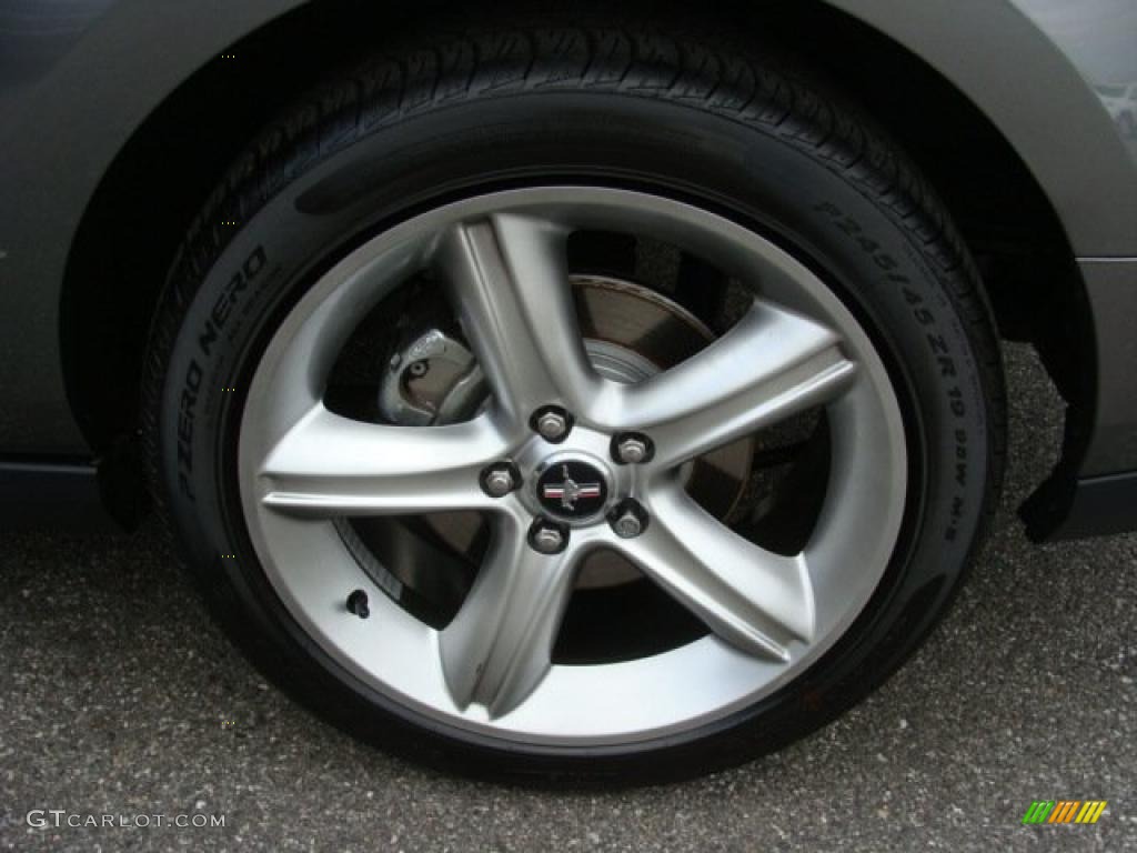 2010 Mustang GT Premium Coupe - Sterling Grey Metallic / Charcoal Black photo #13