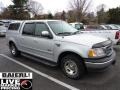 2001 Silver Metallic Ford F150 XLT SuperCrew  photo #1