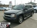 Graphite Metallic - TrailBlazer LS 4x4 Photo No. 3