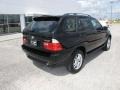 Jet Black - X5 3.0i Photo No. 4