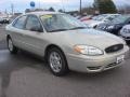 2007 Gold Ash Metallic Ford Taurus SE  photo #8