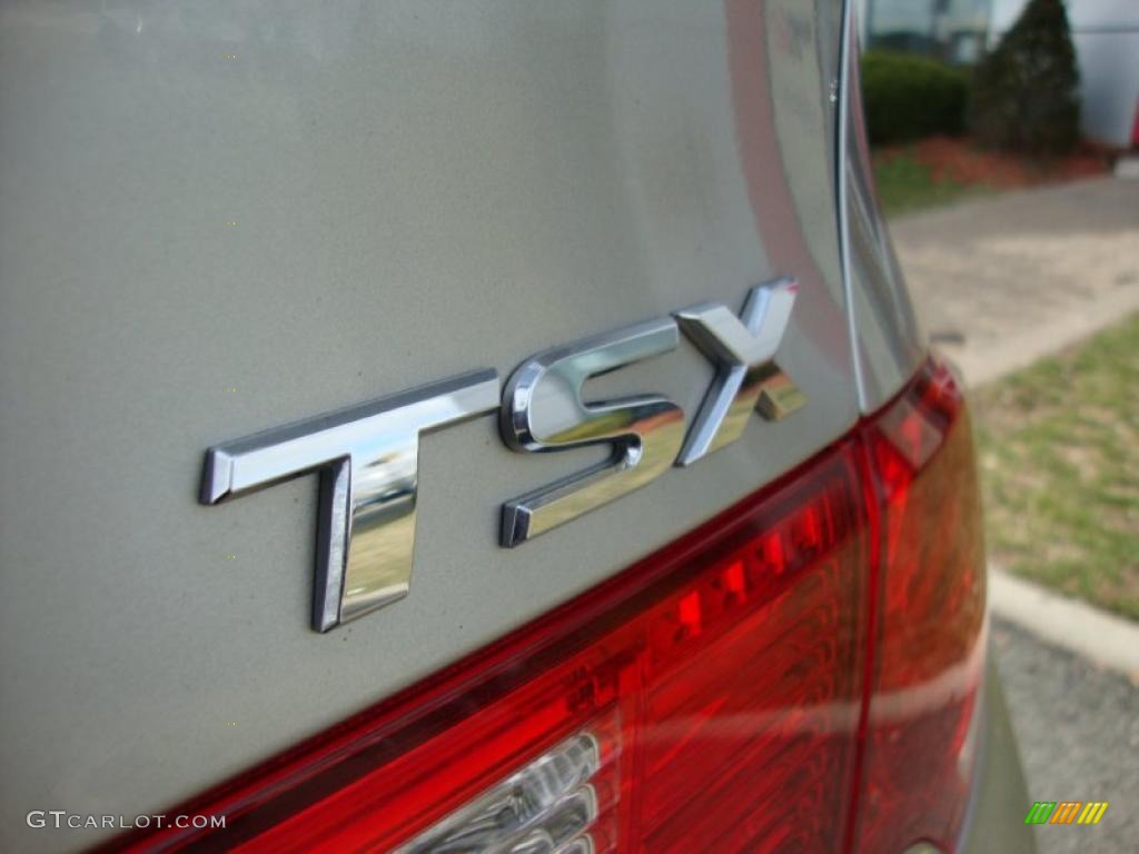 2009 TSX Sedan - Palladium Metallic / Ebony photo #6