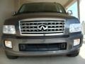 Silver Graphite - QX 56 4WD Photo No. 2