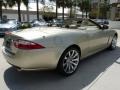 Winter Gold Metallic - XK XK8 Convertible Photo No. 8