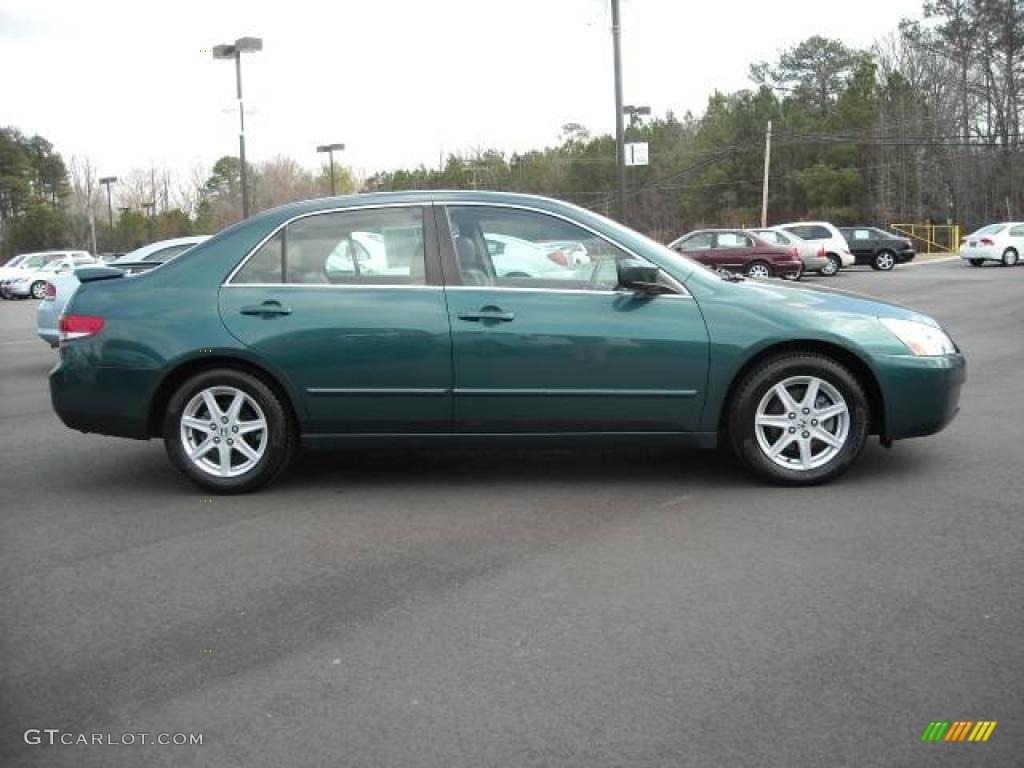 2003 Accord EX V6 Sedan - Noble Green Pearl / Ivory photo #7