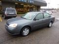 2004 Medium Gray Metallic Chevrolet Malibu LS V6 Sedan  photo #8