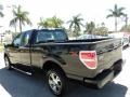 Tuxedo Black - F150 STX SuperCab Photo No. 9