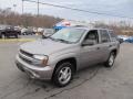 Graystone Metallic - TrailBlazer LS 4x4 Photo No. 5