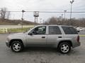 Graystone Metallic - TrailBlazer LS 4x4 Photo No. 6