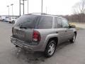 Graystone Metallic - TrailBlazer LS 4x4 Photo No. 9