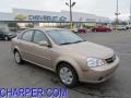 Champagne Beige Metallic - Forenza  Photo No. 1