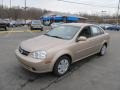 Champagne Beige Metallic - Forenza  Photo No. 5