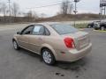 Champagne Beige Metallic - Forenza  Photo No. 7