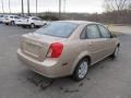 Champagne Beige Metallic - Forenza  Photo No. 9