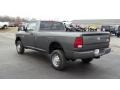 Mineral Gray Metallic - Ram 2500 HD ST Regular Cab 4x4 Photo No. 6