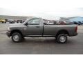 Mineral Gray Metallic - Ram 2500 HD ST Regular Cab 4x4 Photo No. 8