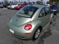 Gecko Green - New Beetle S Coupe Photo No. 13