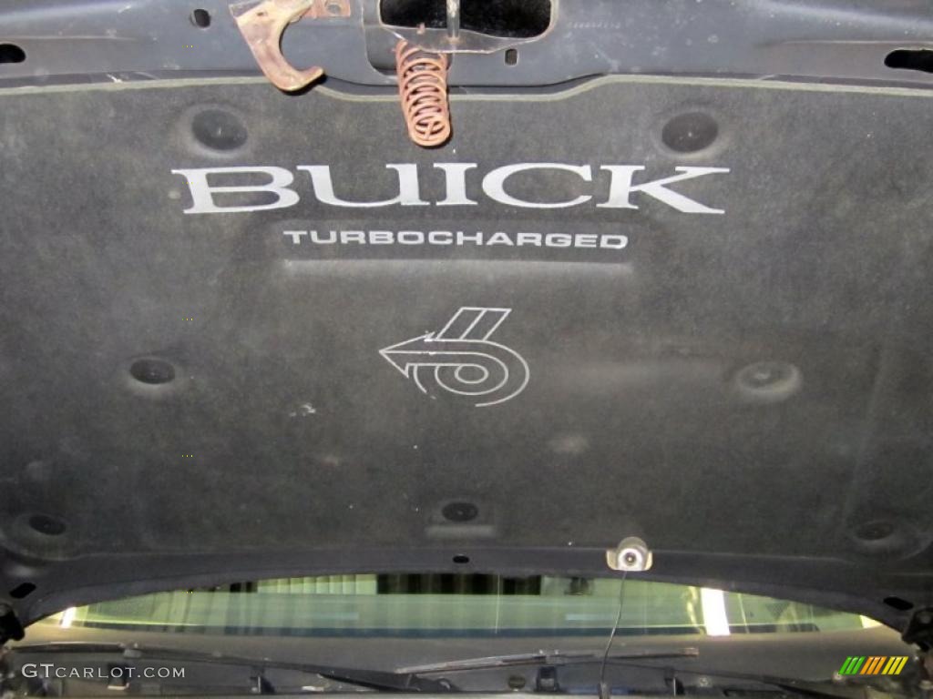 1987 Buick Regal Grand National Marks and Logos Photo #46742209