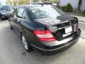 Black - C 300 Luxury Photo No. 17