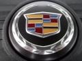 2011 Platinum Ice Tricoat Cadillac SRX FWD  photo #39