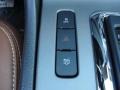Saddle Controls Photo for 2012 Ford Mustang #46747016