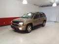 2002 Sandalwood Metallic Chevrolet TrailBlazer LT 4x4  photo #8