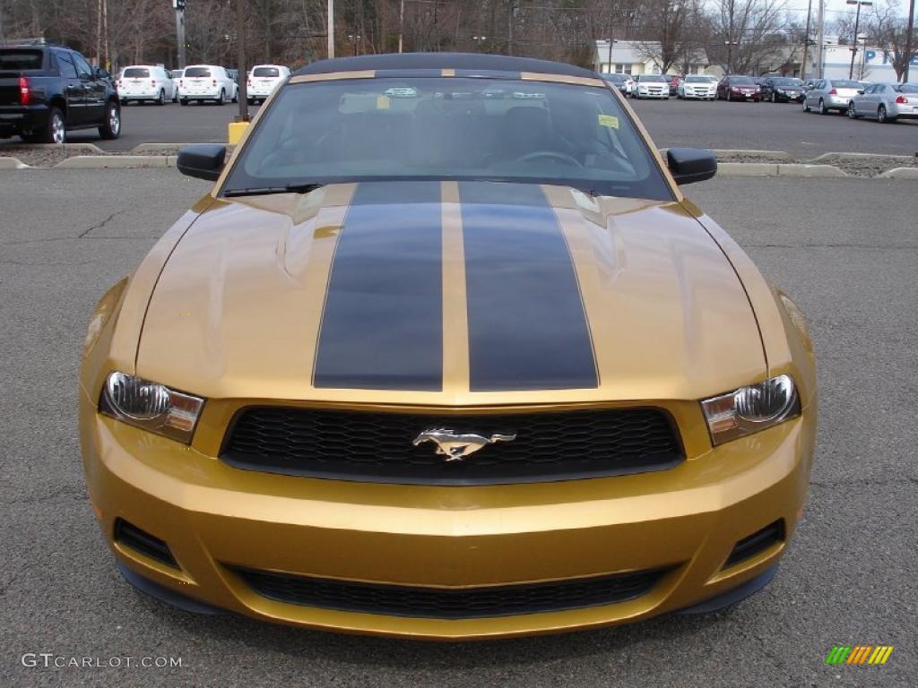 Sunset Gold Metallic 2010 Ford Mustang V6 Premium Convertible Exterior Photo #46753692
