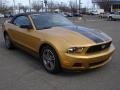 2010 Sunset Gold Metallic Ford Mustang V6 Premium Convertible  photo #3