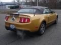 2010 Sunset Gold Metallic Ford Mustang V6 Premium Convertible  photo #4