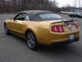 Sunset Gold Metallic 2010 Ford Mustang V6 Premium Convertible Exterior