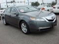 Polished Metal Metallic 2009 Acura TL 3.5 Exterior