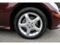 2009 Mercedes-Benz R 350 4Matic Wheel and Tire Photo