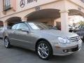 Pewter Metallic - CLK 350 Cabriolet Photo No. 1