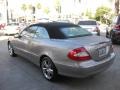 Pewter Metallic - CLK 350 Cabriolet Photo No. 4