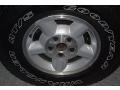 Light Pewter Metallic - S10 LS Crew Cab 4x4 Photo No. 19
