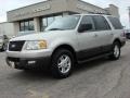 2005 Silver Birch Metallic Ford Expedition XLT 4x4  photo #2