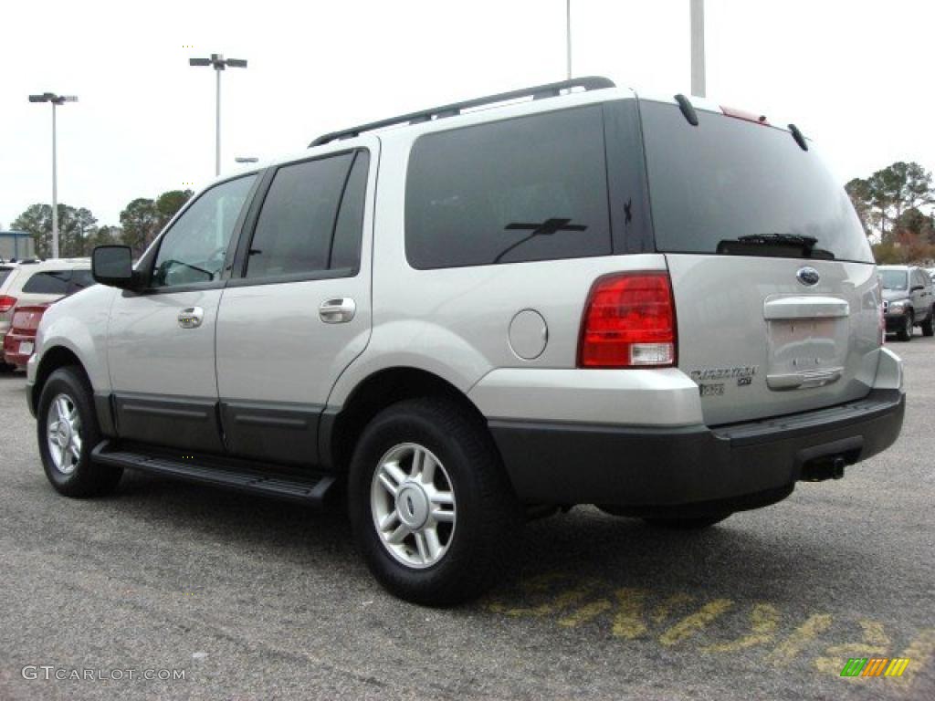 Silver Birch Metallic 2005 Ford Expedition XLT 4x4 Exterior Photo #46760535