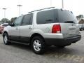 Silver Birch Metallic 2005 Ford Expedition XLT 4x4 Exterior