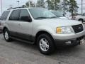 2005 Silver Birch Metallic Ford Expedition XLT 4x4  photo #8