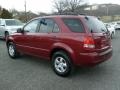 2006 Radiant Red Kia Sorento LX 4x4  photo #4