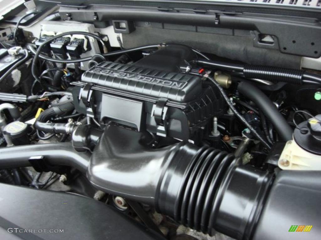 2005 Ford Expedition XLT 4x4 5.4 Liter SOHC 24V VVT Triton V8 Engine Photo #46760796