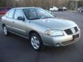 Bronze Shimmer Metallic - Sentra 1.8 Photo No. 7
