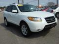 2009 Powder White Pearl Hyundai Santa Fe Limited  photo #7